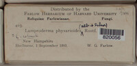 Image Associated With the Occurence